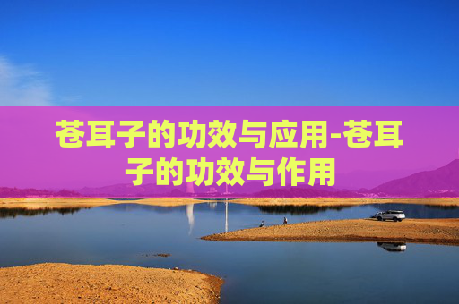苍耳子的功效与应用-苍耳子的功效与作用 苍耳子的功效与应用-苍耳子的功效与作用