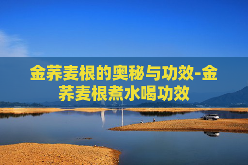 金荞麦根的奥秘与功效-金荞麦根煮水喝功效 金荞麦根的奥秘与功效-金荞麦根煮水喝功效