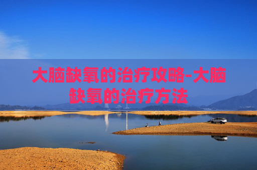 大脑缺氧的治疗攻略-大脑缺氧的治疗方法 大脑缺氧的治疗攻略-大脑缺氧的治疗方法
