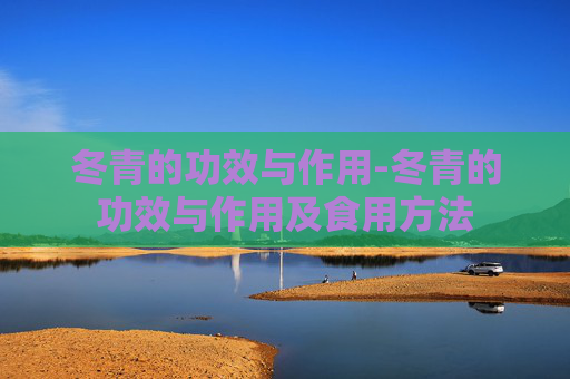冬青的功效与作用-冬青的功效与作用及食用方法 冬青的功效与作用-冬青的功效与作用及食用方法