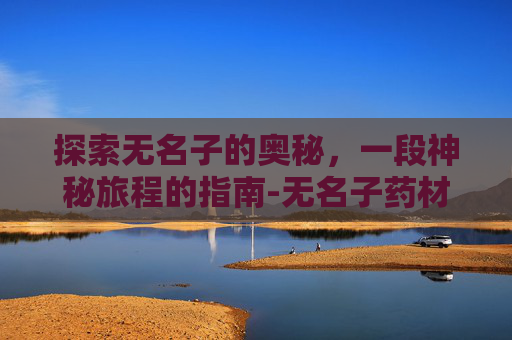 探索无名子的奥秘,一段神秘旅程的指南-无名子药材图片 探索无名子的奥秘,一段神秘旅程的指南-无名子药材图片