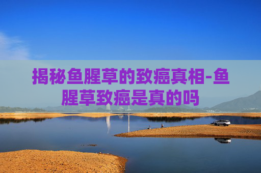 揭秘鱼腥草的致癌真相-鱼腥草致癌是真的吗 揭秘鱼腥草的致癌真相-鱼腥草致癌是真的吗
