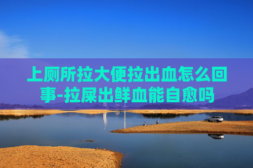 上厕所拉大便拉出血怎么回事-拉屎出鲜血能自愈吗 上厕所拉大便拉出血怎么回事-拉屎出鲜血能自愈吗