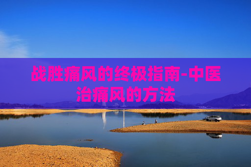 战胜痛风的终极指南-中医治痛风的方法 战胜痛风的终极指南-中医治痛风的方法