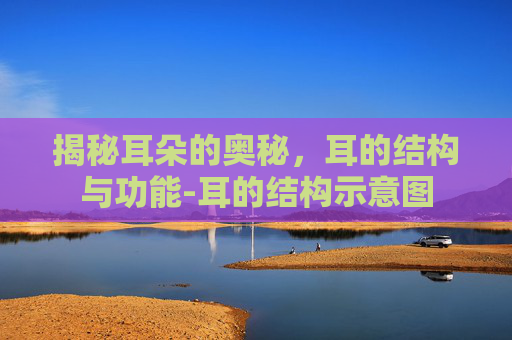 揭秘耳朵的奥秘,耳的结构与功能-耳的结构示意图 揭秘耳朵的奥秘,耳的结构与功能-耳的结构示意图