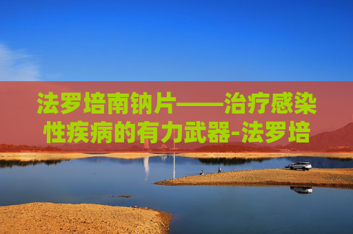法罗培南钠片——治疗感染性疾病的有力武器-法罗培南钠片多少钱一盒 法罗培南钠片——治疗感染性疾病的有力武器-法罗培南钠片多少钱一盒