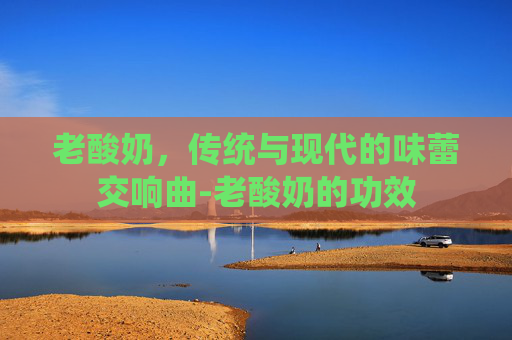 老酸奶,传统与现代的味蕾交响曲-老酸奶的功效 老酸奶,传统与现代的味蕾交响曲-老酸奶的功效