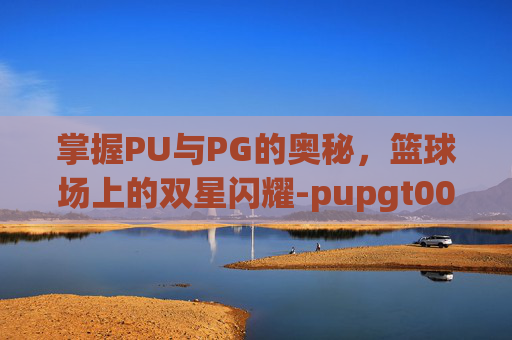掌握PU与PG的奥秘，篮球场上的双星闪耀-pupgt00l画质助手