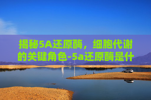 揭秘5A还原酶,细胞代谢的关键角色-5a还原酶是什么东西 揭秘5A还原酶,细胞代谢的关键角色-5a还原酶是什么东西