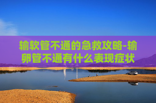 输软管不通的急救攻略-输卵管不通有什么表现症状 输软管不通的急救攻略-输卵管不通有什么表现症状