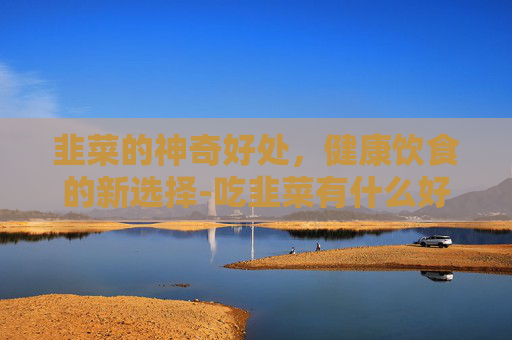 韭菜的神奇好处,健康饮食的新选择-吃韭菜有什么好处的功效 韭菜的神奇好处,健康饮食的新选择-吃韭菜有什么好处的功效