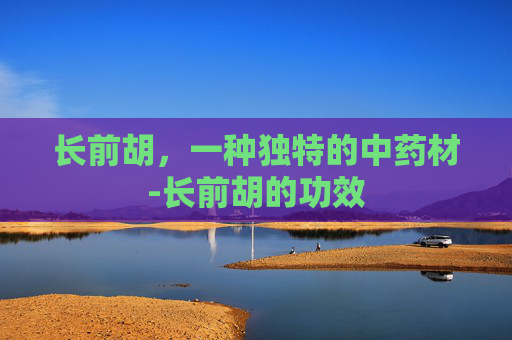 长前胡,一种独特的中药材-长前胡的功效 长前胡,一种独特的中药材-长前胡的功效