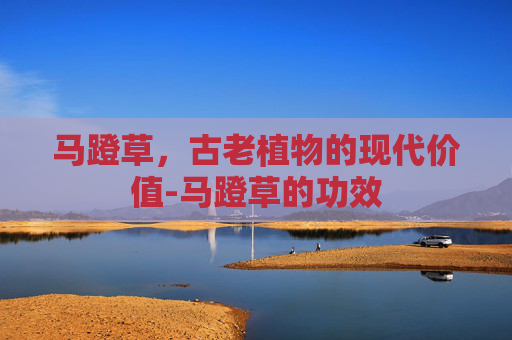 马蹬草,古老植物的现代价值-马蹬草的功效 马蹬草,古老植物的现代价值-马蹬草的功效