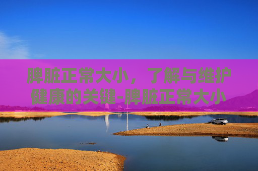 脾脏正常大小,了解与维护健康的关键-脾脏正常大小是多少mm 脾脏正常大小,了解与维护健康的关键-脾脏正常大小是多少mm
