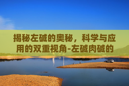揭秘左碱的奥秘,科学与应用的双重视角-左碱肉碱的作用 揭秘左碱的奥秘,科学与应用的双重视角-左碱肉碱的作用
