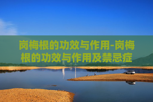 岗梅根的功效与作用-岗梅根的功效与作用及禁忌症 岗梅根的功效与作用-岗梅根的功效与作用及禁忌症