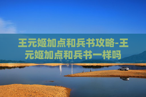 王元姬加点和兵书攻略-王元姬加点和兵书一样吗