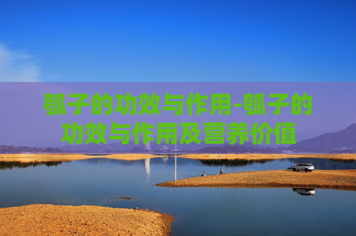 瓠子的功效与作用-瓠子的功效与作用及营养价值 瓠子的功效与作用-瓠子的功效与作用及营养价值