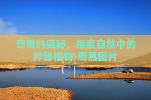 奇蒿的奥秘,探索自然中的神秘植物-奇蒿图片 奇蒿的奥秘,探索自然中的神秘植物-奇蒿图片