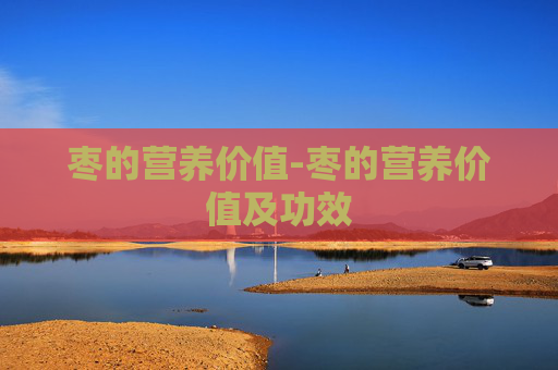 枣的营养价值-枣的营养价值及功效 枣的营养价值-枣的营养价值及功效