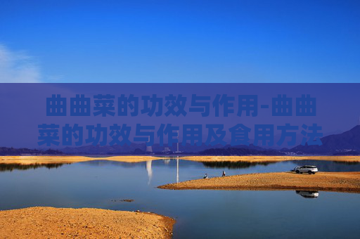 曲曲菜的功效与作用-曲曲菜的功效与作用及食用方法 曲曲菜的功效与作用-曲曲菜的功效与作用及食用方法