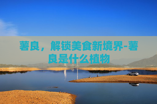 薯良,解锁美食新境界-薯良是什么植物 薯良,解锁美食新境界-薯良是什么植物