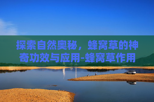 探索自然奥秘,蜂窝草的神奇功效与应用-蜂窝草作用与功效 探索自然奥秘,蜂窝草的神奇功效与应用-蜂窝草作用与功效