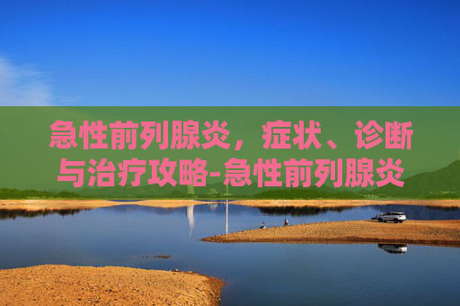 急性前列腺炎,症状、诊断与治疗攻略-急性前列腺炎吃什么药 急性前列腺炎,症状、诊断与治疗攻略-急性前列腺炎吃什么药