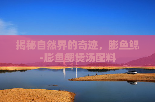 揭秘自然界的奇迹,膨鱼鳃-膨鱼鳃煲汤配料 揭秘自然界的奇迹,膨鱼鳃-膨鱼鳃煲汤配料