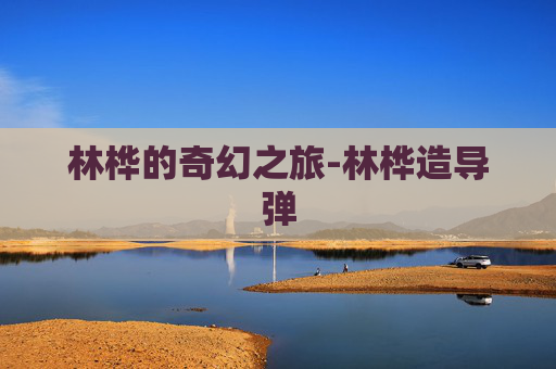 林桦的奇幻之旅-林桦造导弹 林桦的奇幻之旅-林桦造导弹