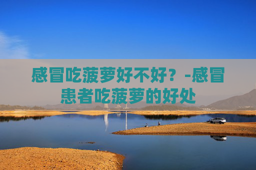 感冒吃菠萝好不好?-感冒患者吃菠萝的好处 感冒吃菠萝好不好?-感冒患者吃菠萝的好处
