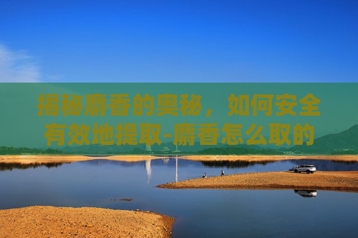 揭秘麝香的奥秘,如何安全有效地提取-麝香怎么取的 揭秘麝香的奥秘,如何安全有效地提取-麝香怎么取的