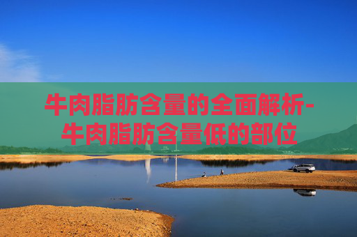牛肉脂肪含量的全面解析-牛肉脂肪含量低的部位 牛肉脂肪含量的全面解析-牛肉脂肪含量低的部位