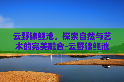 云野锦鲤池，探索自然与艺术的完美融合-云野锦鲤池旁冥想