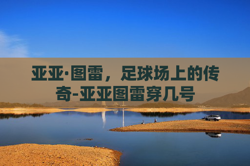 亚亚·图雷,足球场上的传奇-亚亚图雷穿几号 亚亚·图雷,足球场上的传奇-亚亚图雷穿几号