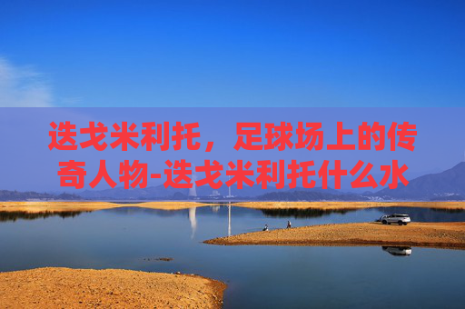 迭戈米利托,足球场上的传奇人物-迭戈米利托什么水平 迭戈米利托,足球场上的传奇人物-迭戈米利托什么水平
