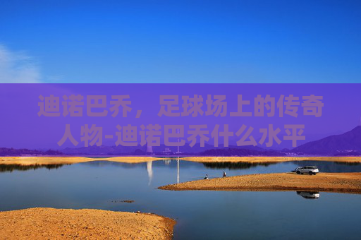 迪诺巴乔,足球场上的传奇人物-迪诺巴乔什么水平 迪诺巴乔,足球场上的传奇人物-迪诺巴乔什么水平