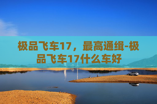 极品飞车17，最高通缉-极品飞车17什么车好