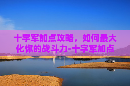 十字军加点攻略，如何最大化你的战斗力-十字军加点图