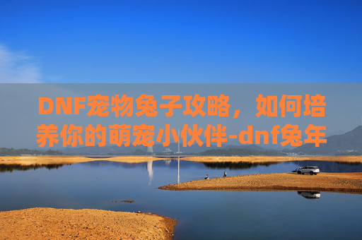 DNF宠物兔子攻略，如何培养你的萌宠小伙伴-dnf兔年宠物礼盒
