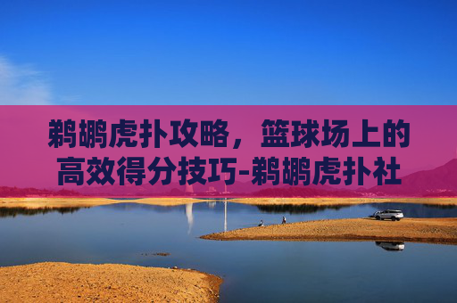 鹈鹕虎扑攻略,篮球场上的高效得分技巧-鹈鹕虎扑社区论坛 鹈鹕虎扑攻略,篮球场上的高效得分技巧-鹈鹕虎扑社区论坛