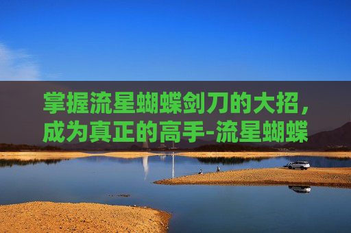 掌握流星蝴蝶剑刀的大招，成为真正的高手-流星蝴蝶剑刀的大招叫什么