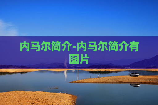 内马尔简介-内马尔简介有图片 内马尔简介-内马尔简介有图片