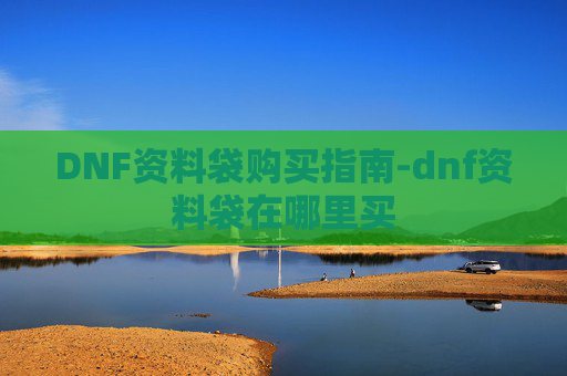 DNF资料袋购买指南-dnf资料袋在哪里买