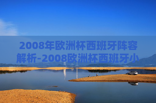 2008年欧洲杯西班牙阵容解析-2008欧洲杯西班牙小组赛 2008年欧洲杯西班牙阵容解析-2008欧洲杯西班牙小组赛