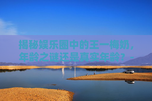 揭秘娱乐圈中的王一梅奶,年龄之谜还是真实年龄?-王一梅队友 揭秘娱乐圈中的王一梅奶,年龄之谜还是真实年龄?-王一梅队友