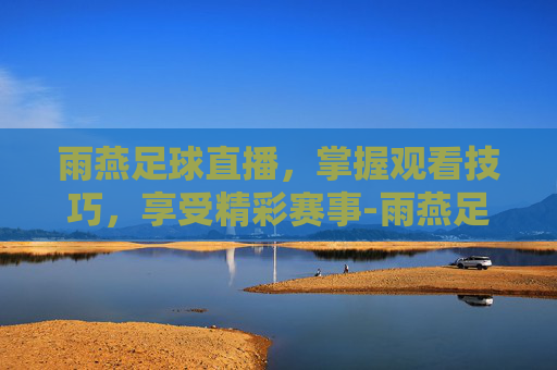 雨燕足球直播,掌握观看技巧,享受精彩赛事-雨燕足球直播体育直播 雨燕足球直播,掌握观看技巧,享受精彩赛事-雨燕足球直播体育直播