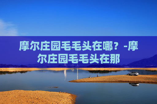 摩尔庄园毛毛头在哪？-摩尔庄园毛毛头在那