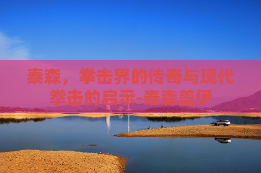泰森,拳击界的传奇与现代拳击的启示-泰森盖伊 泰森,拳击界的传奇与现代拳击的启示-泰森盖伊