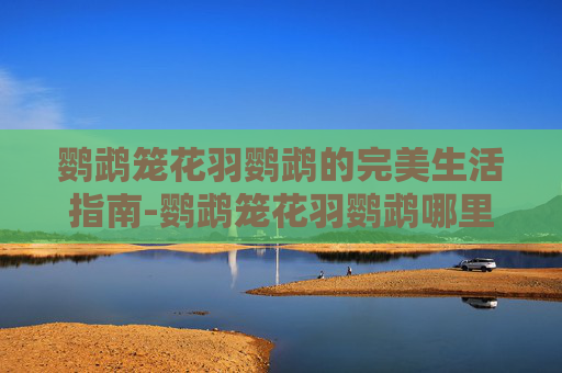 鹦鹉笼花羽鹦鹉的完美生活指南-鹦鹉笼花羽鹦鹉哪里掉落